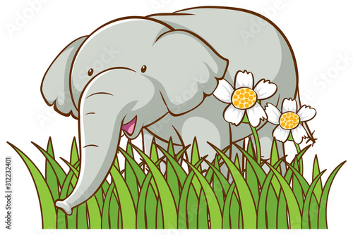 Isolated picture of gray elephant