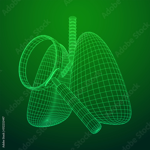 Lungs with trachea bronchi internal organ human with magnifying glass. Pulmonology medicine science analysis concept. Wireframe low poly mesh vector illustration