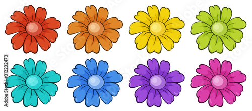 Isolated set of flowers