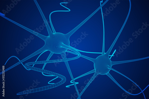 Neuron system wireframe mesh model. Low poly vector illustration. Science and medical healthcare concept