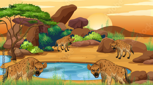Scene with hyenas by the pond
