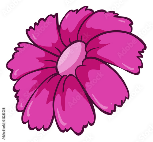 Pink flower on white background photo