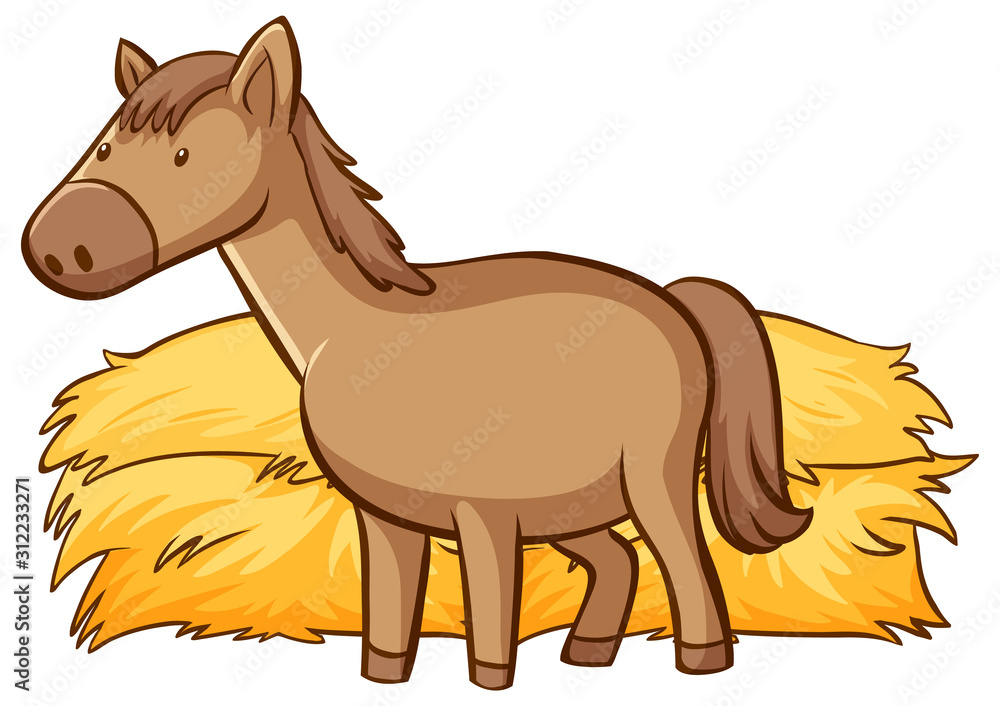 Horse and hay on white background Horse and hay on white background