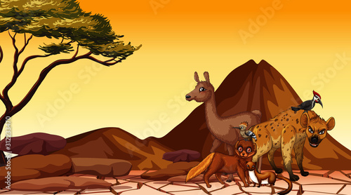 Scene with many animals in dry land