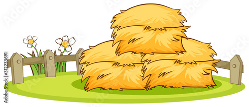 Pile of hay in the park