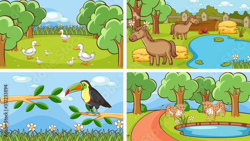 Background scenes of animals in the wild