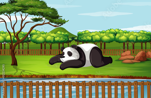 Scene with panda in garden