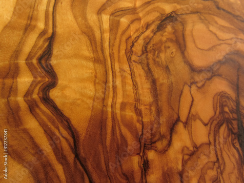 texture from an olive wood © TPhotography