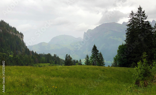 Alpine pastures and grasslands in the Sihltal valley and by the artifical Lake Sihlsee, Studen - Canton of Schwyz, Switzerland photo