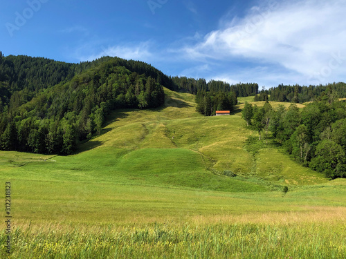 Alpine pastures and grasslands in the Sihltal valley and by the artifical Lake Sihlsee, Studen - Canton of Schwyz, Switzerland photo