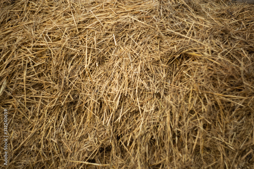 Harvest straw closeup, background, haystack. Not a bright yellow color, natural pokes haystacks. Harvest straw closeup, background, haystack. Not a bright yellow color, natural pokes haystacks.