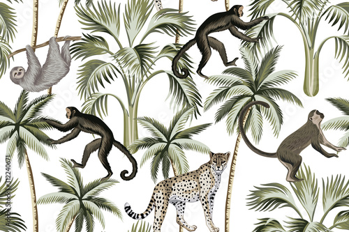 Fototapeta Tropikalna małpa vintage, lenistwo, lampart, palmy kwiatowy wzór białe tło. Tapeta egzotyczna dżungla.