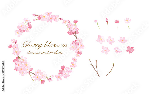 春の花 さくらの丸型フレームとエレメントのセット 水彩イラストのトレースベクター Stock Vector Adobe Stock 春の花 さくらの丸型フレームとエレメントのセット 水彩イラストのトレースベクター Stock Vector Adobe Stock