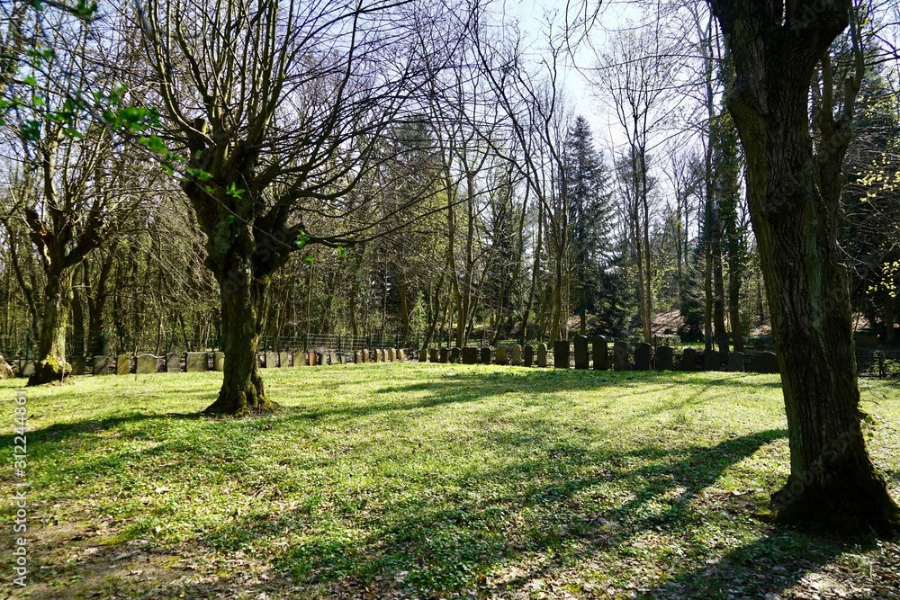 Restareal des ehemaligen jüdischen Friedhofs von Eberswalde