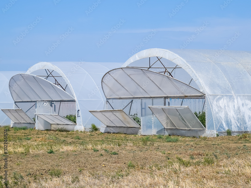 A group of greenhouses for growing tomatoes and cucumbers.