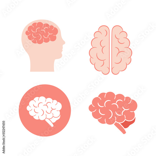 Set of four icons of human brain in pink. Lateral, superior views of cerebrum, in circle and in the head. Vector illustration in flat style are isolated on white background.