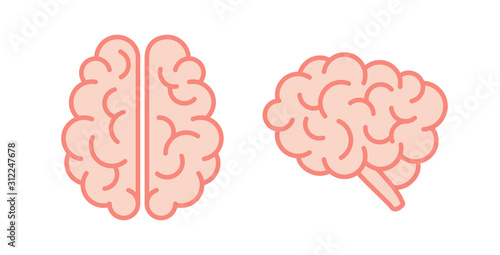 Pink icons of human brain. Lateral and superior views of cerebrum. Vector illustration in flat style are isolated on white background.