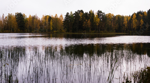 autumn landscape with lake and trees