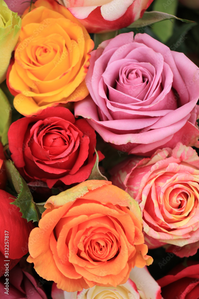 Multicolored wedding roses Multicolored wedding roses
