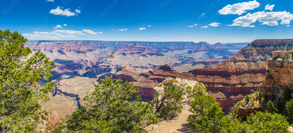 Panoramic view of the Grand Canyon Colorado, USA.