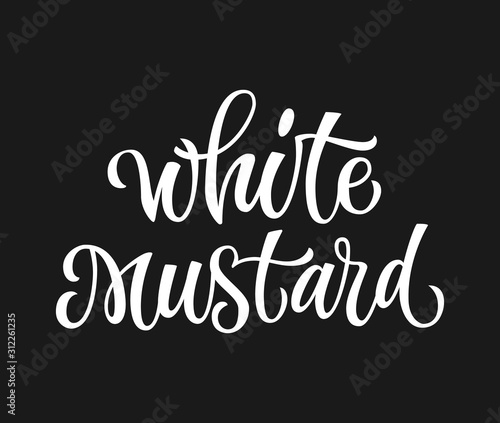 Vector hand drawn calligraphy style lettering word - White mustard. Isolated script spice text label. White colored design.