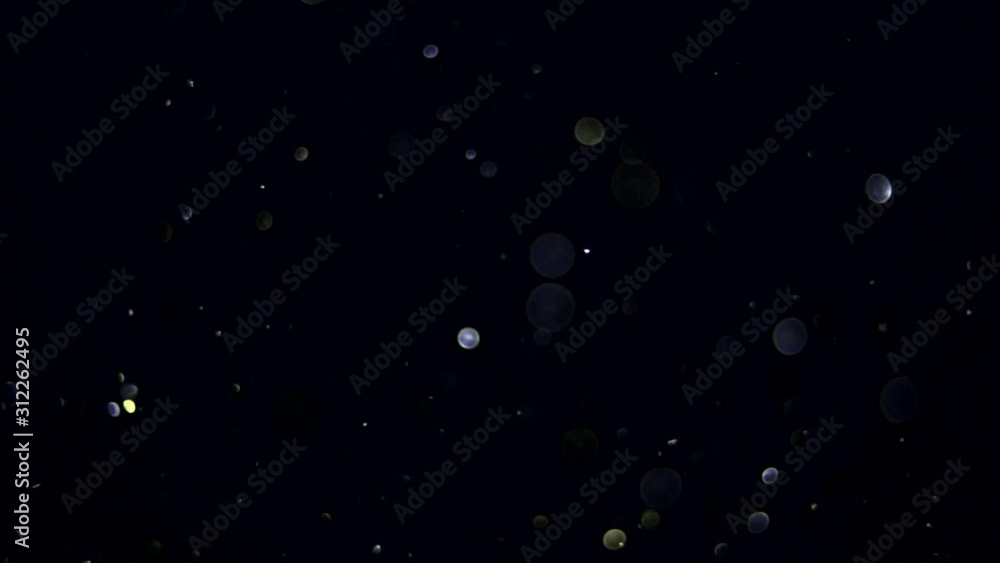 particles on black background, abstract overlay with particles and bokeh particles on black background, abstract overlay with particles and bokeh