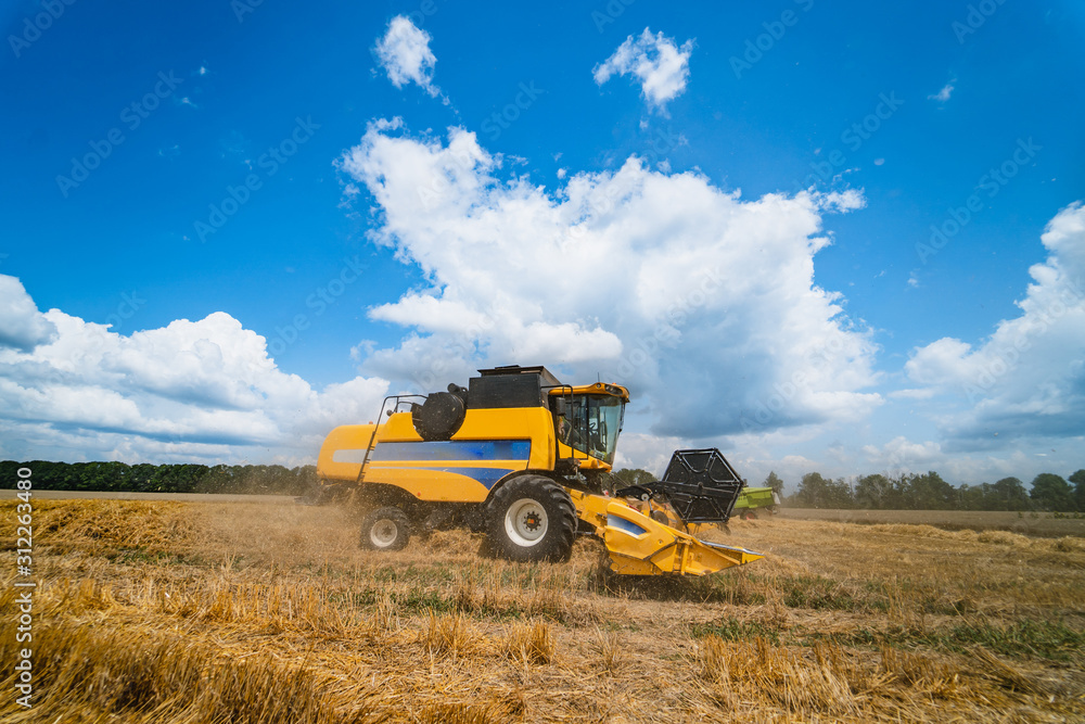 Combine harvester in action on wheat field. Process of gathering ripe crop from the fields. Side view Combine harvester in action on wheat field. Process of gathering ripe crop from the fields. Side view
