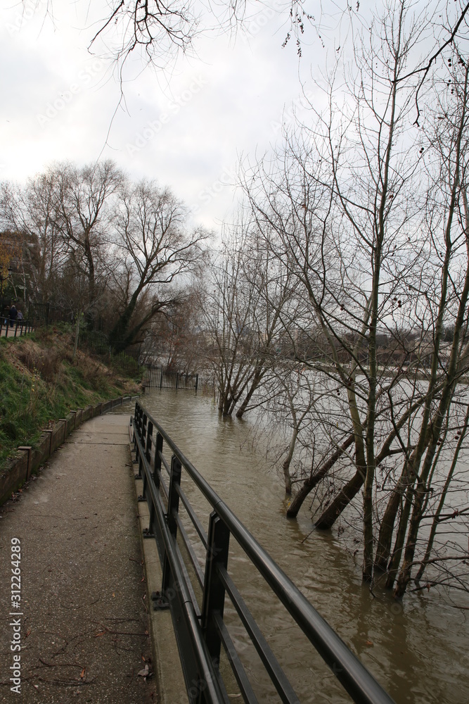 Naklejka premium La Seine en crue sur l’île de la Jatte