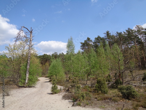 Kampinoski Park Narodowy