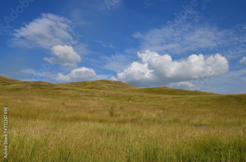 Countryside. White fluffy clouds against the blue sky. A field of green grass on a Sunny day. © Ирина Кусова