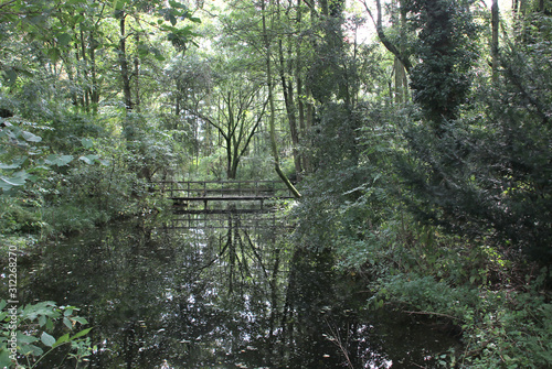 Wooden bridge and trees reflects on water surface in forest in Wezep in the Netherlands