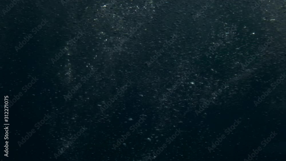 Sea level from moving glass boat. Prores 422 10 Bit slow motion. Sea level from moving glass boat. Prores 422 10 Bit slow motion.