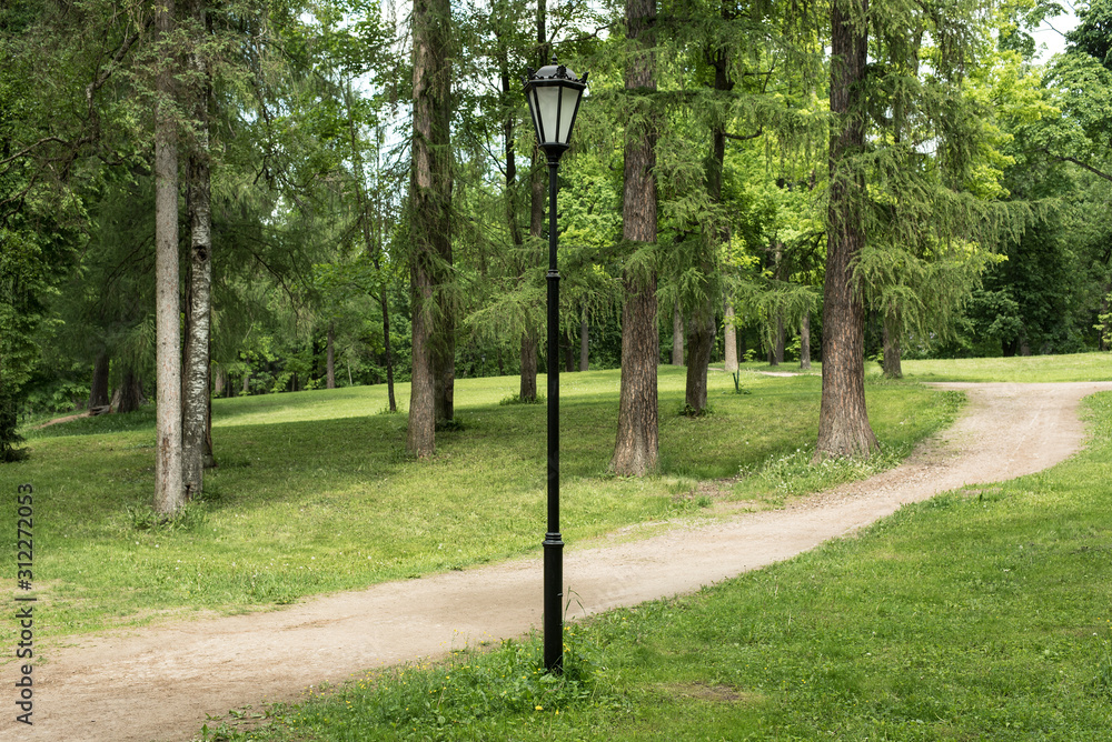 Black metal lantern in the old style in the green forest of the city park