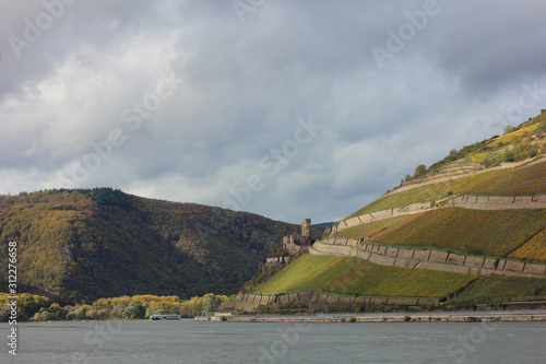 Ruin of Ehrenfels Castle on a steep slope on the Rhine river in Germany