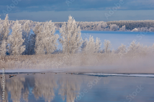 Trees in hoarfrost in the snowy winter near the lake. Beautiful reflection of trees in the water.