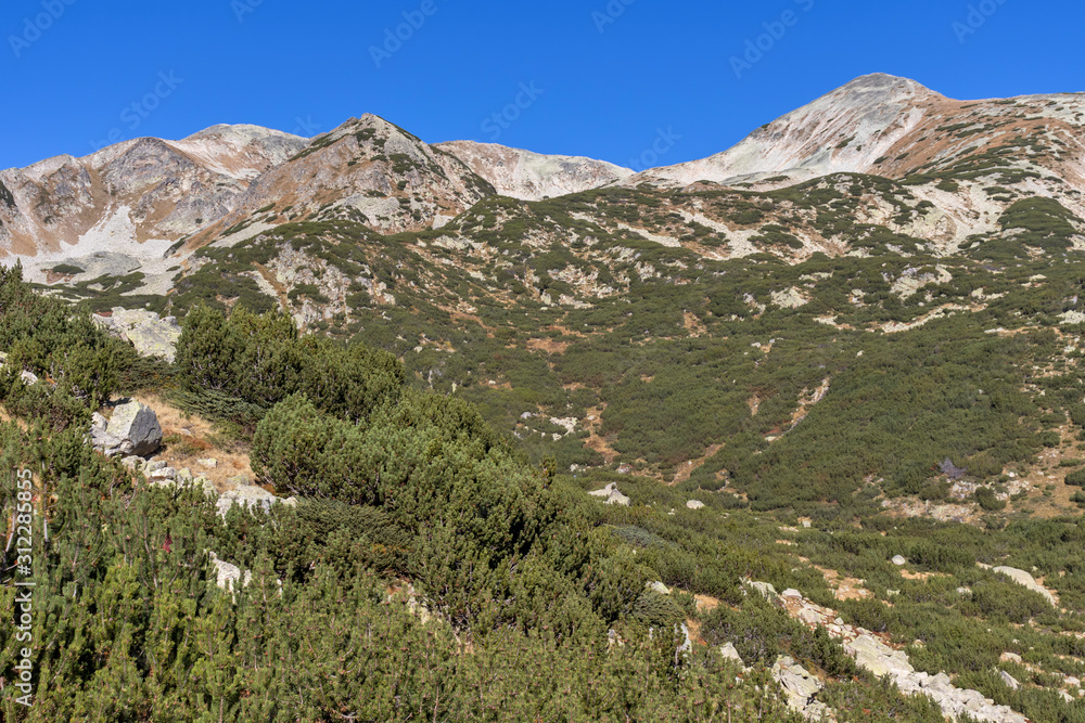 Naklejka premium Landscape of Polezhan peak, Pirin Mountain, Bulgaria
