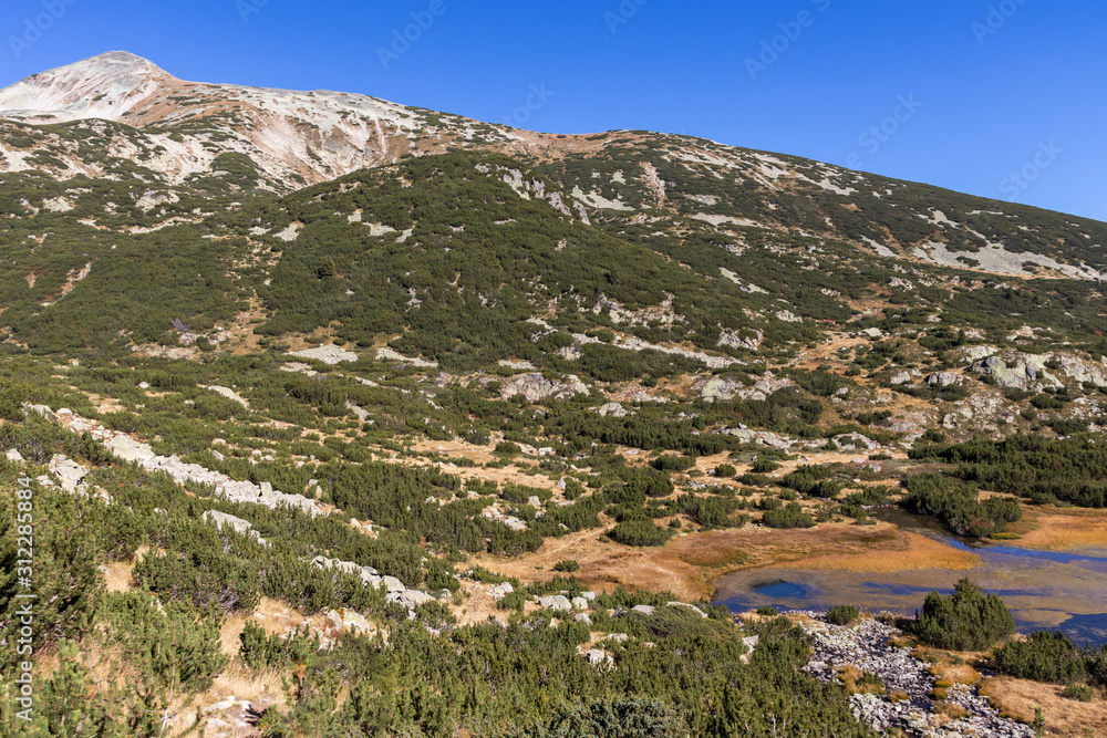 Fototapeta premium Landscape of Fish (Ribni) Lakes, Pirin Mountain, Bulgaria