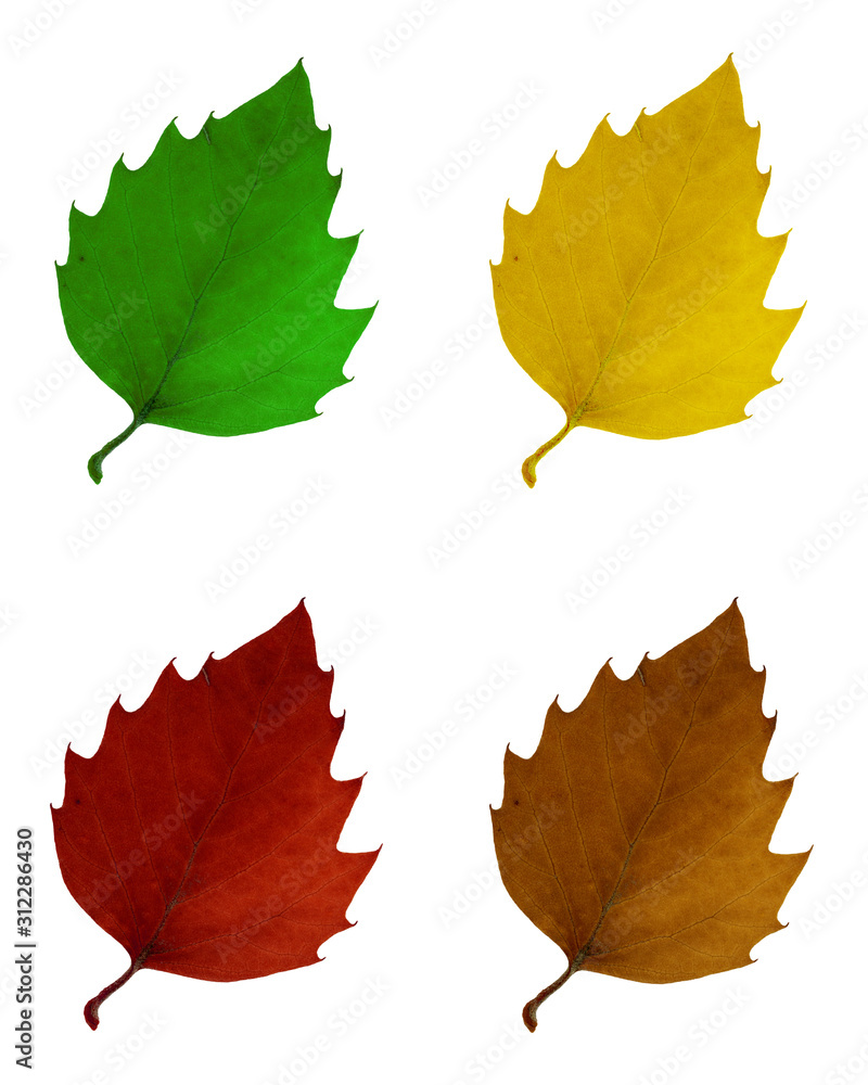 Autumn Colors Autumn Colors
