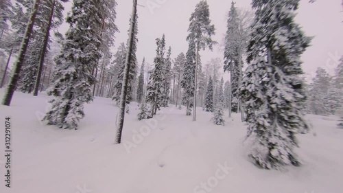 Soaring through a snow covered forest in the middle of rural Finland. Fast low angle aerial shot. photo