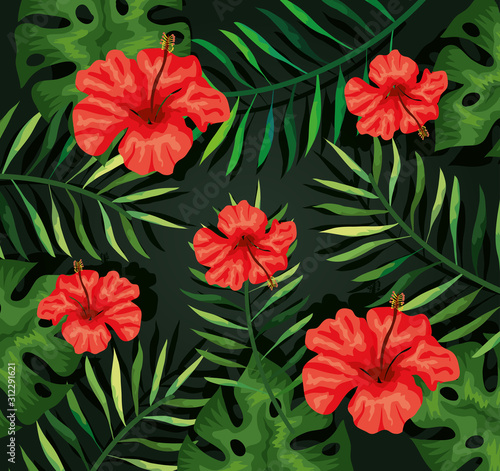background of flowers red and tropical leafs vector illustration design © Gstudio