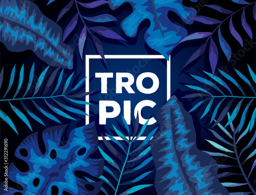 background of leafs tropical natural design