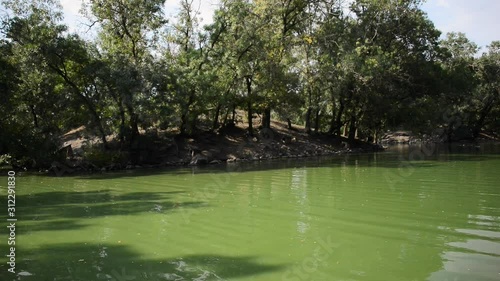 Askania-Nova, Ukraine 