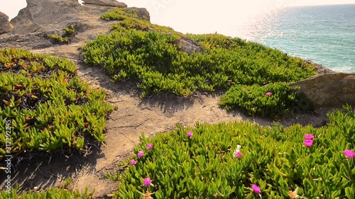 Porto Covo, Portugal