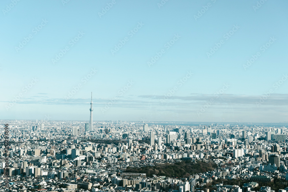 Obraz premium 東京都豊島区池袋から見た東京の景色