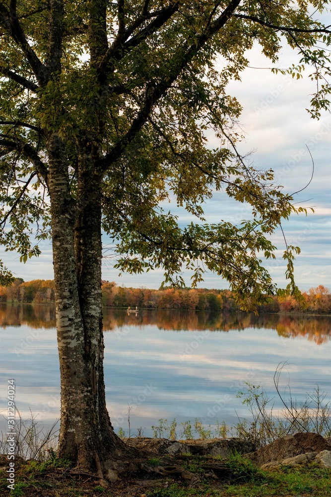 Obraz premium lake landscape