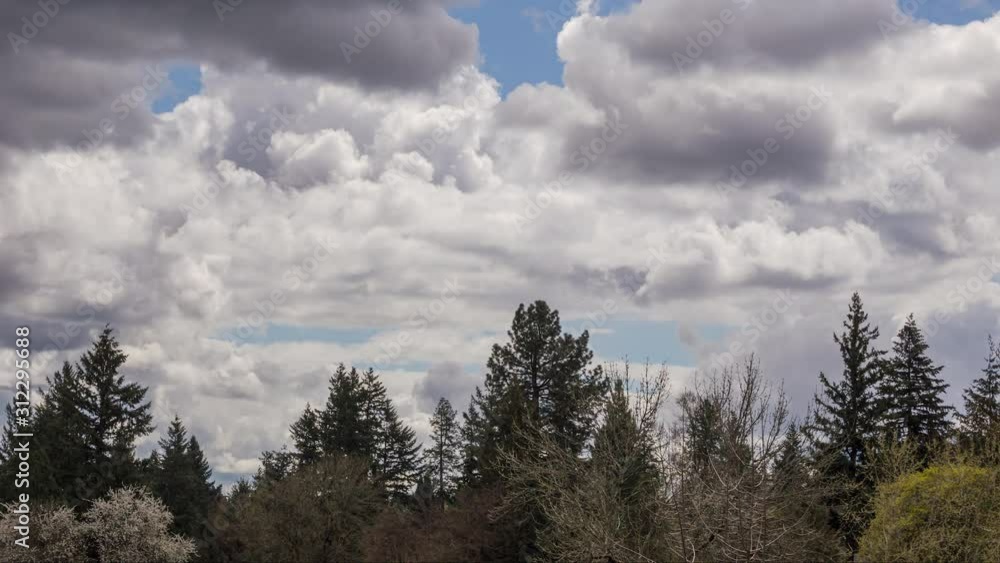 Timelapse of Clouds, Spring Nature Scene, Nature Time Lapse Timelapse of Clouds, Spring Nature Scene, Nature Time Lapse