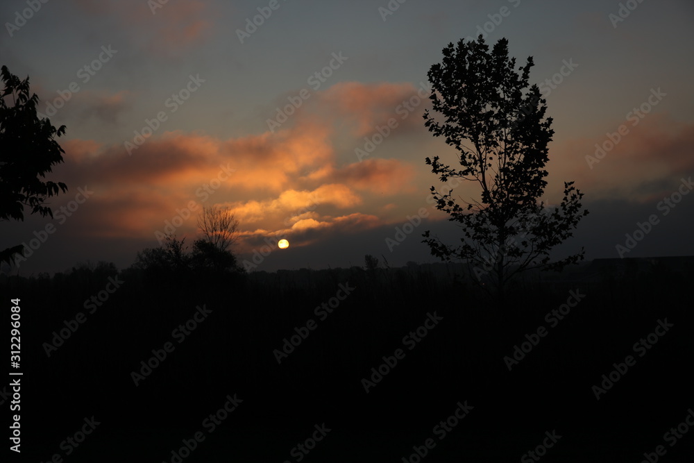 sunrise in the forest sunrise in the forest