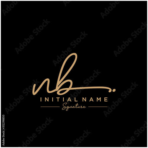 Letter NB Signature Logo Template Vector
