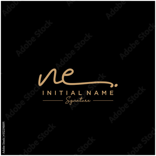 Letter NE Signature Logo Template Vector