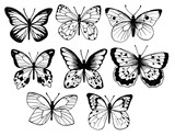 Butterflies. Vintage elegant black ink set. Delicate print design.